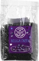 beluga linzen