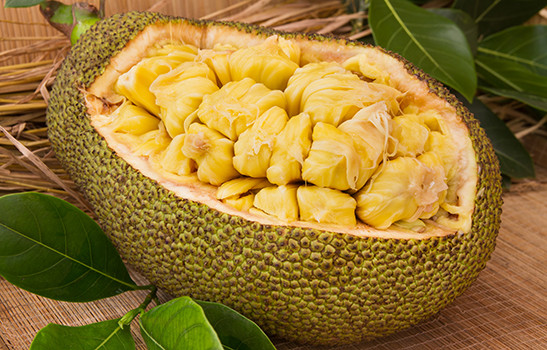 jackfruit