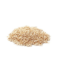 quinoa