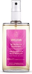 wilde rozen deodorant