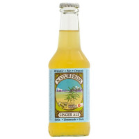 ginger ale zonder toegevoegde suiker