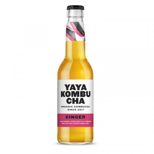 kombucha ginger