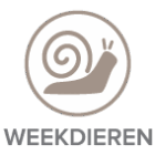 Weekdier niet aanwezig Weekdier niet aanwezig