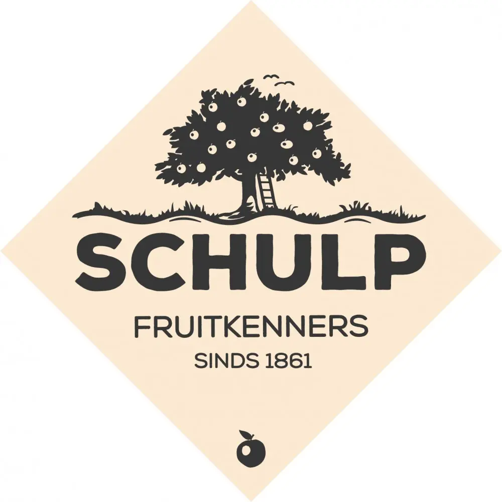 logo Schulp