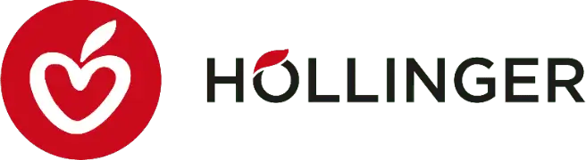 logo Hollinger