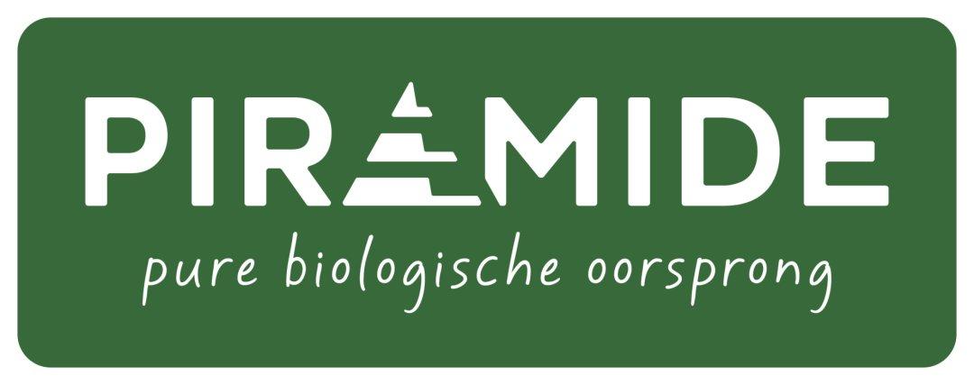 logo Piramide