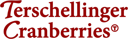 logo Terschellinger