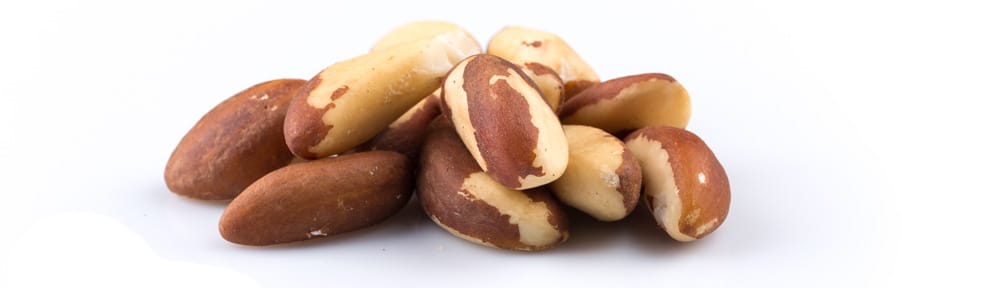 paranoten oogst mislukt