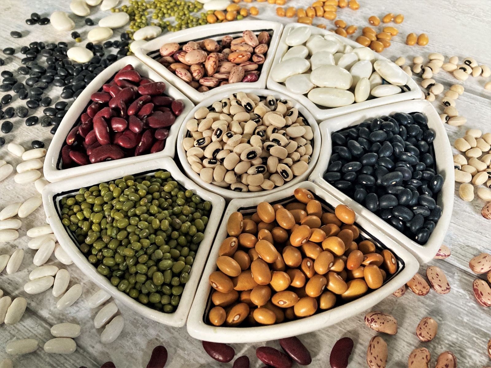 peulvruchten in de spotlight