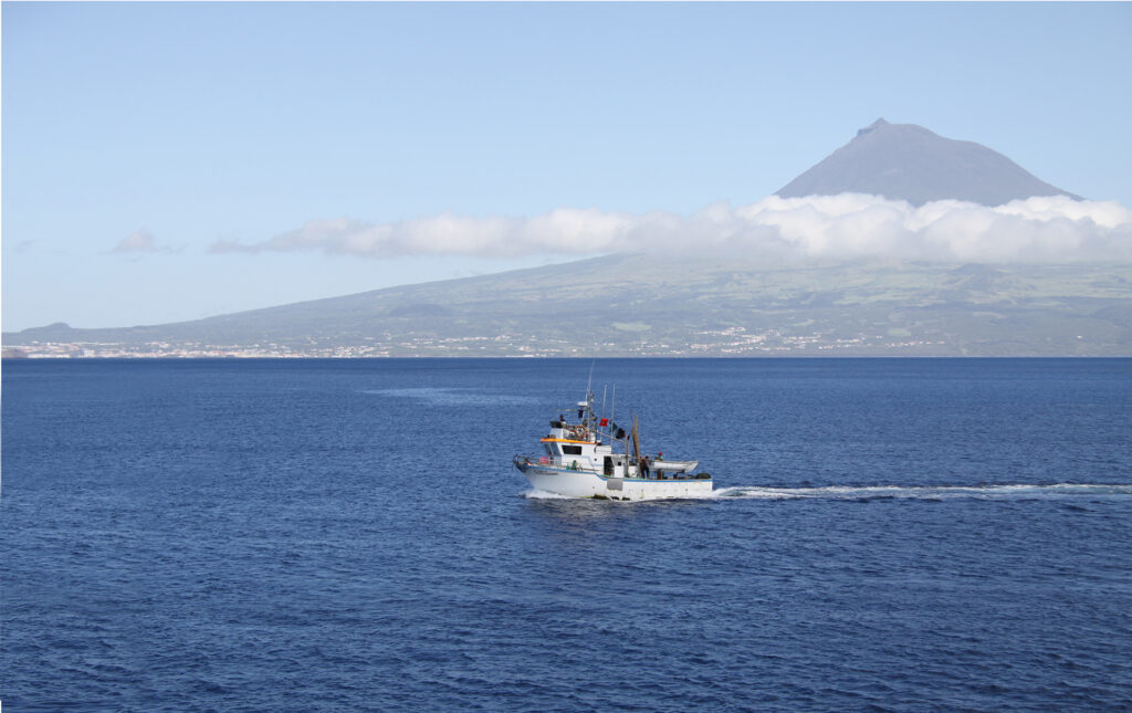 Fish4Ever: duurzaam tot op de graat