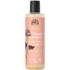 shampoo nordic berry klein